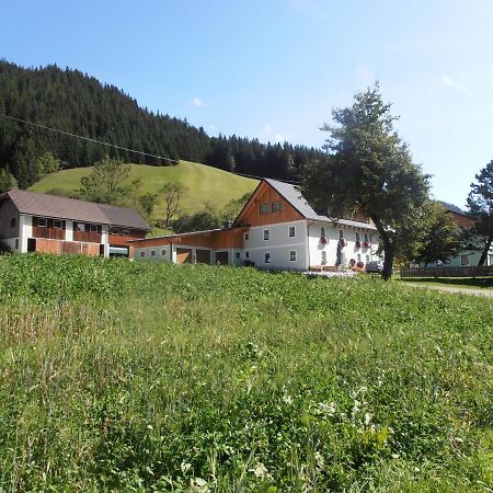 Huberbauer Villa Johnsbach Exteriör bild