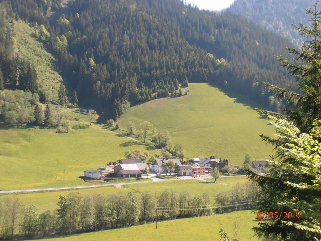 Huberbauer Villa Johnsbach Rum bild